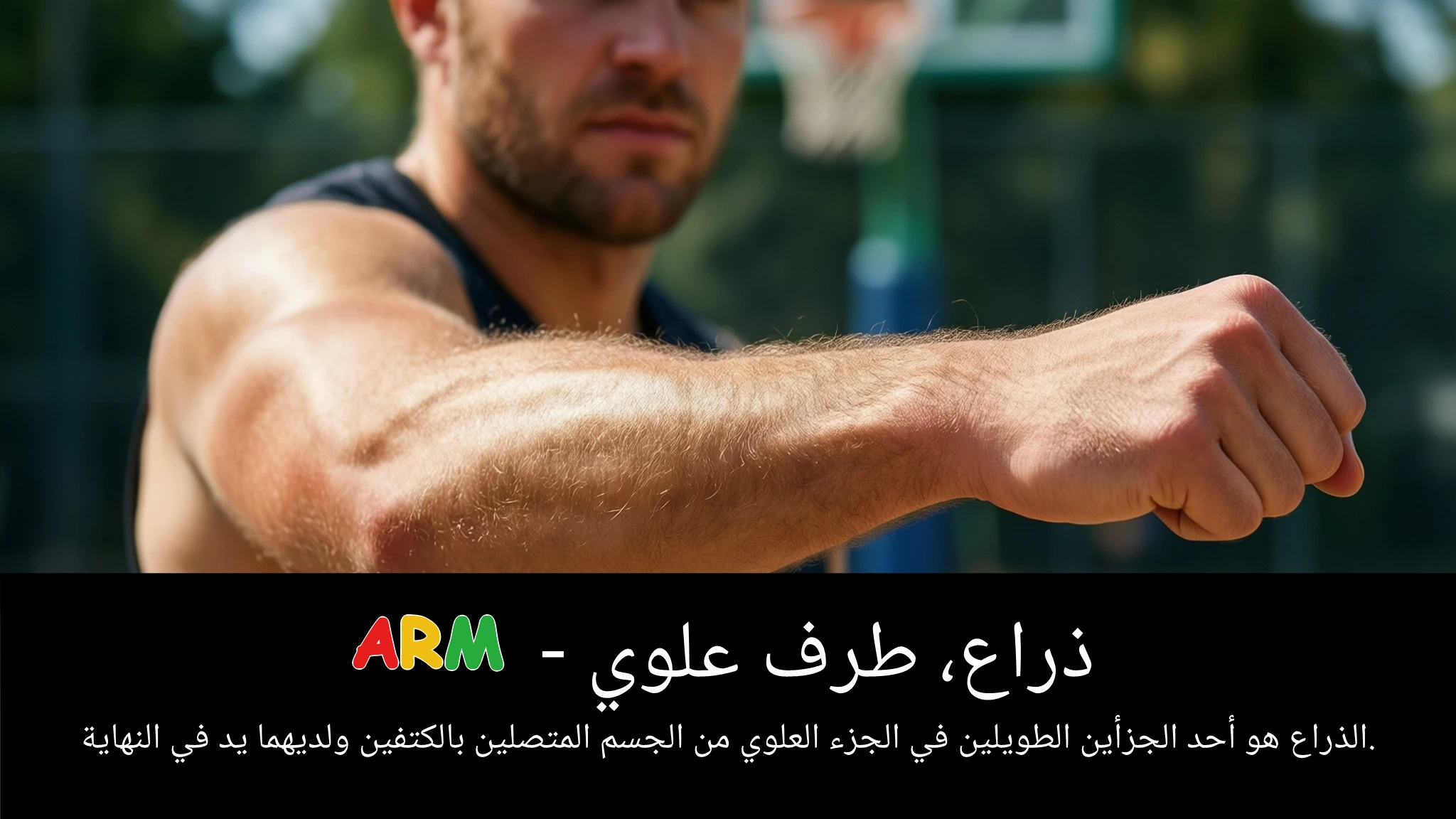 Arabic Illustration for arm